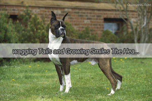 wagging Tails and Growing Smiles The Heartwarming Bond Between Kids and Their Canine Companions